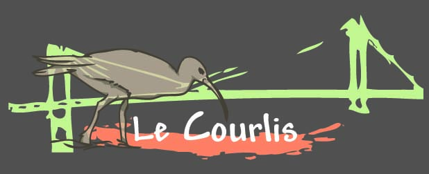 bande courlis